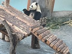 -青藏高原野生动物园