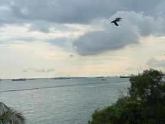 -巴拉湾海滩