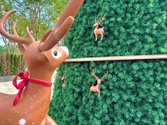 -深圳湾万象城(南山店)