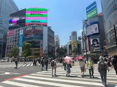 -涩谷区