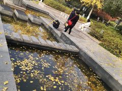 -杭州城北体育公园