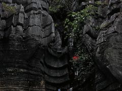 -梭布垭石林景区