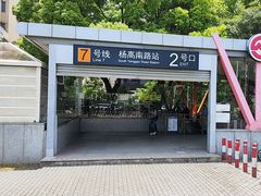 -杨高南路(地铁站)