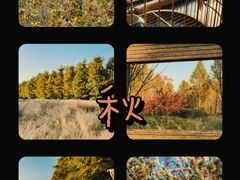 -柳鹭田园区