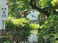 -西溪国家湿地公园