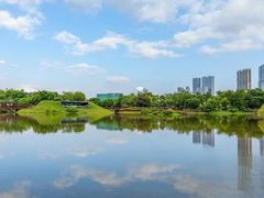 -福田红树林生态公园