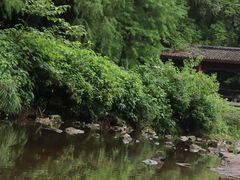 -重庆彩云湖湿地公园