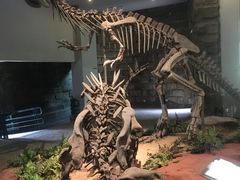 -自贡恐龙博物馆
