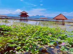 -青龙湖公园