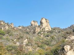 -大岭沟猕猴桃谷风景区
