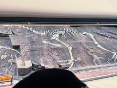 -哈尔滨北方森林动物园