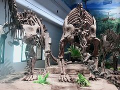 -自贡恐龙博物馆