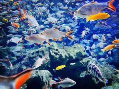 -成都浩海立方海洋公园