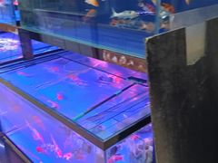 -花鸟鱼古玩市场