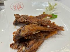 -新雅粤菜馆(南京东路店)