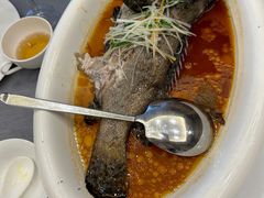 -一品粤珍轩(吴中路店)