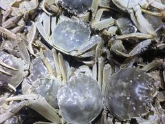 -聚盛源蒸汽海鲜火锅烤肉自助(巨川金海岸购物广场店)
