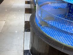 -光明渔港(海悦天地店)