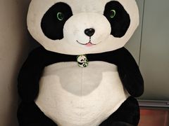 -眉州东坡(望京店)