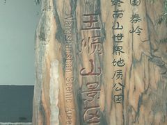 -王顺山国家森林公园