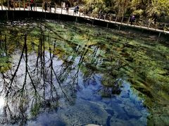-叠溪松坪沟景区
