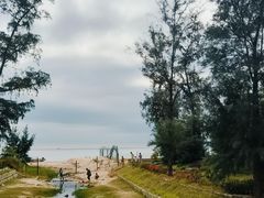 -西涌国际滨海旅游区