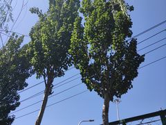 -丰台花园