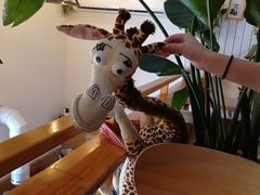 -长颈鹿咖啡(大学路店)