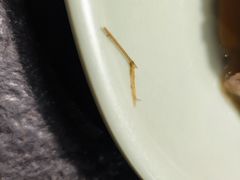 -盛江山自助料理(奥莱锦辉购物广场店)