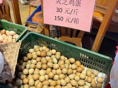 -园林美食城·本土农家菜(杨和镇店)