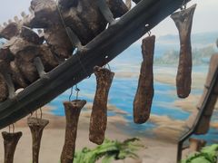 -延庆地质公园博物馆