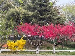 -元大都城垣遗址公园