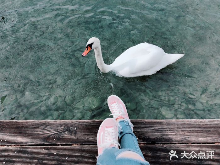 沃尔夫冈湖图片