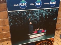 -怀托摩萤火虫洞