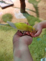 -酷嗒动物文化乐园(cutezoo西溪乐天城店)