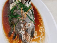 -锐记美食店·现捞海鲜(闸坡店)
