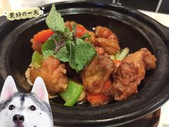 金不换三杯浓香滑鸡煲-太兴餐厅(东方广场分店)
