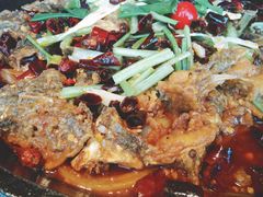 -老板恋上鱼(恒隆广场店)