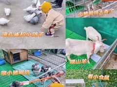 -史努比缤纷世界