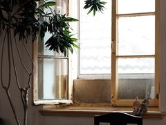 -春风十里咖啡馆