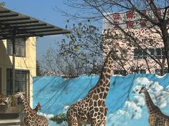 -昆明动物园