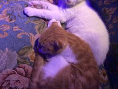 -星宿秘码(鼓浪屿老店)