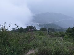 -阳台山自然风景区