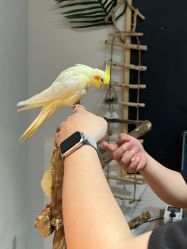 -Zoolung Zoolung动物主题公园(海信广场店)