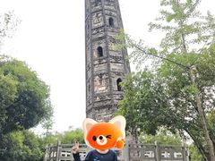 -上海佘山国家森林公园天马山园