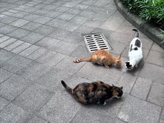 -晓港公园