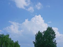 -洨河生态公园