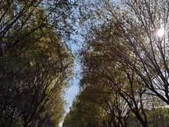 -同里国家湿地公园