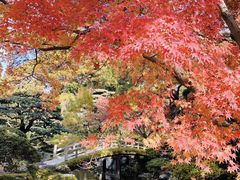 -京都御所