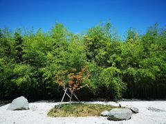 -西安凯悦酒店·湖畔中餐厅